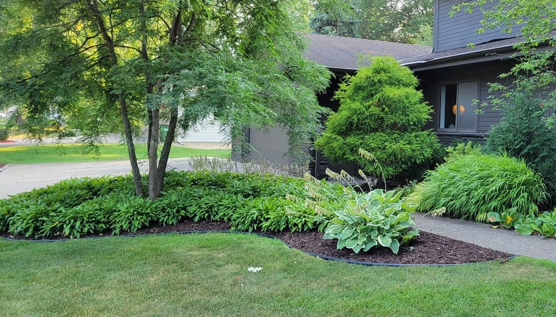 a newly mowed lawn with trees and shrubs
