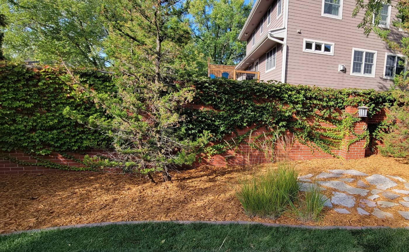landscaping job with trees and shrubs