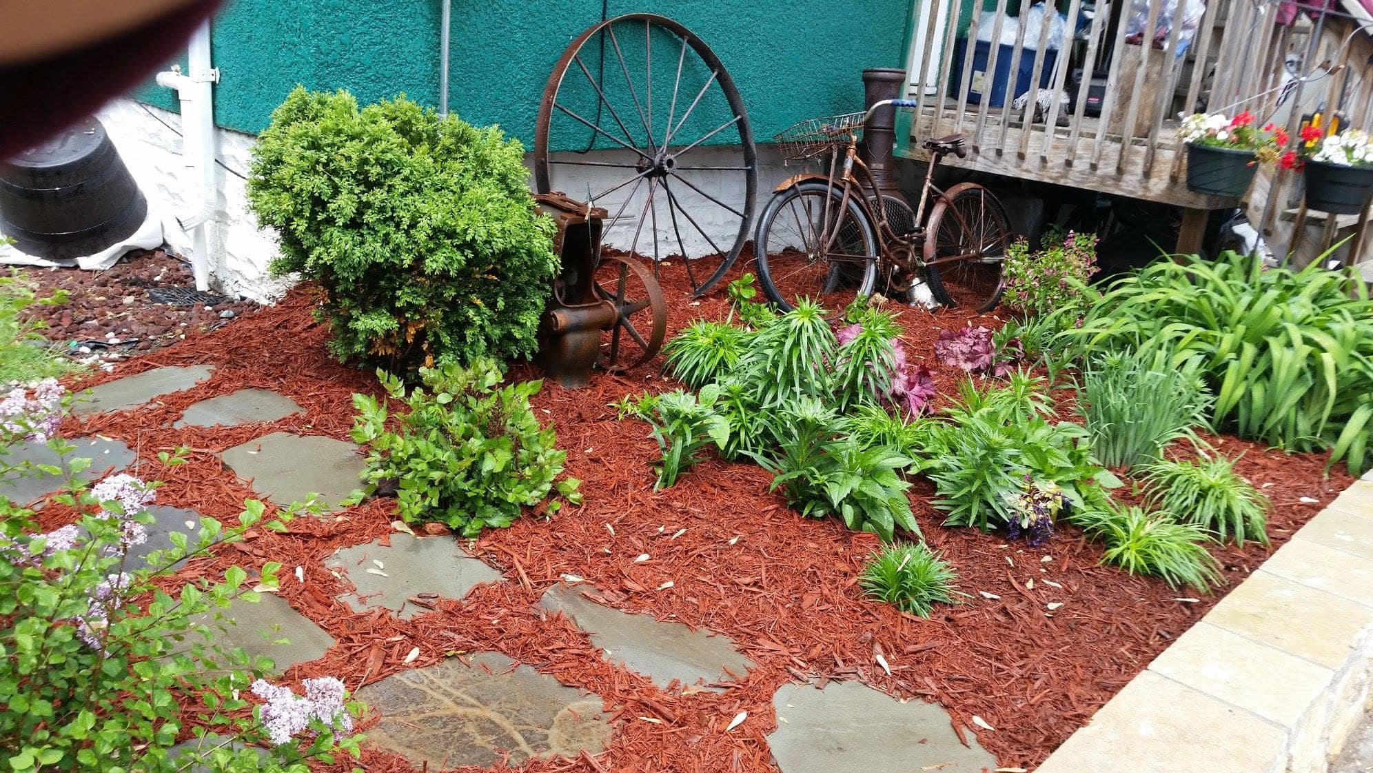 mulching alongside plants