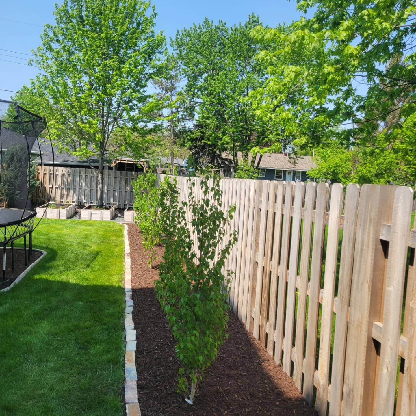 a set of small planted trees